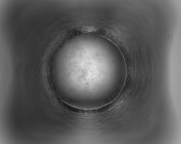 X0000088491393200705291638