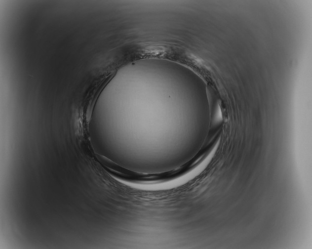 X0000088491394200705291638