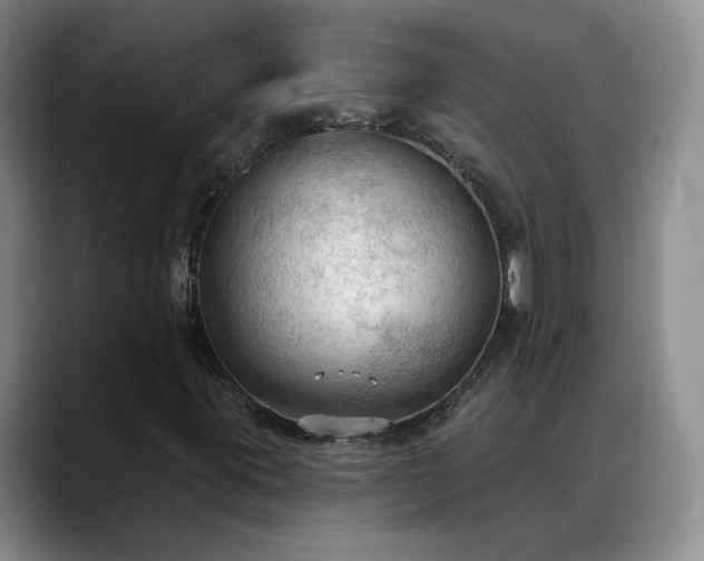 X0000088491395200705291638