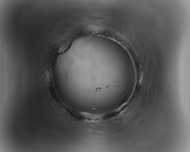 X0000088491397200705291638