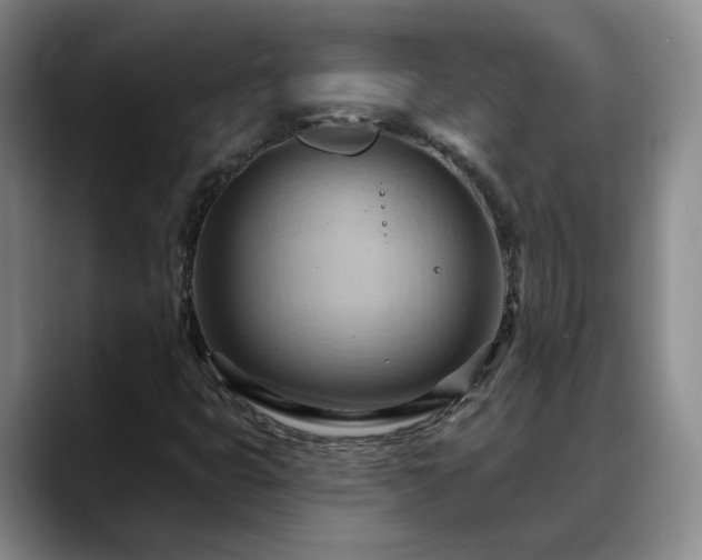 X0000088491399200705291638