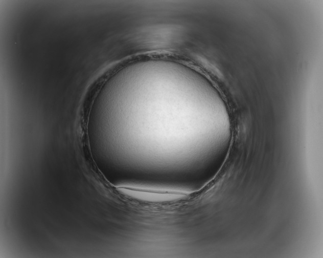 X0000088491400200705291638