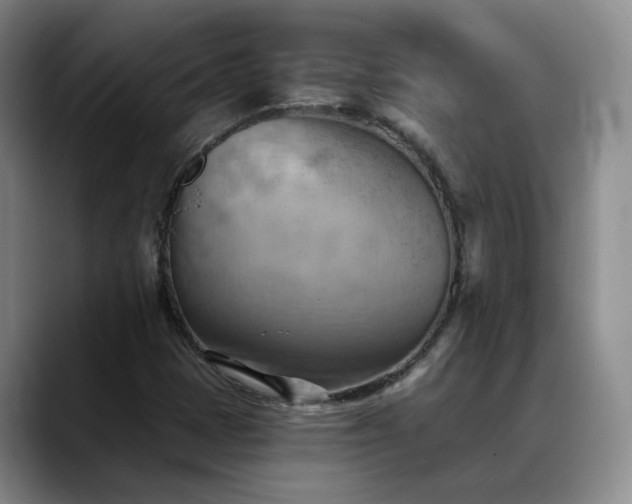 X0000088491401200705291638
