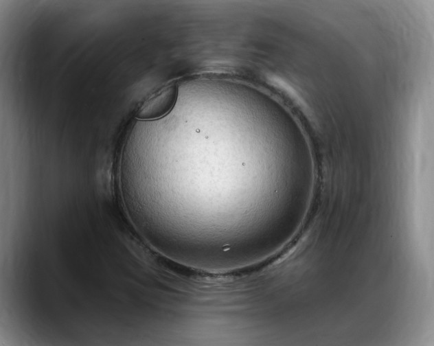 X0000088491403200705291638