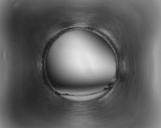 X0000088491406200705291638