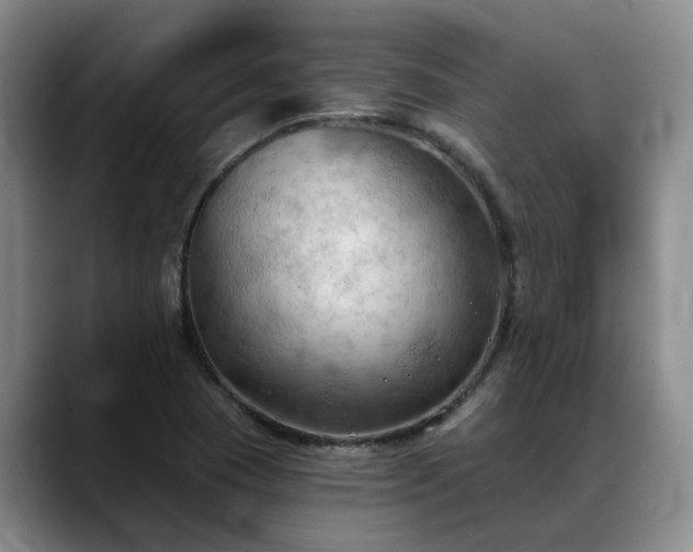 X0000088491409200705291638