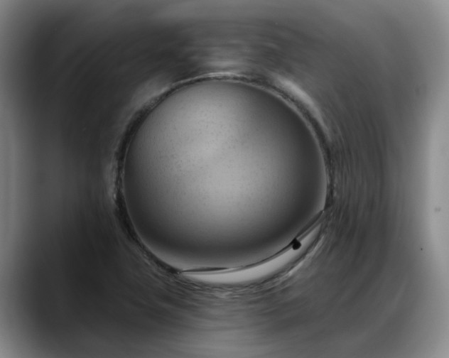 X0000088491411200705291638