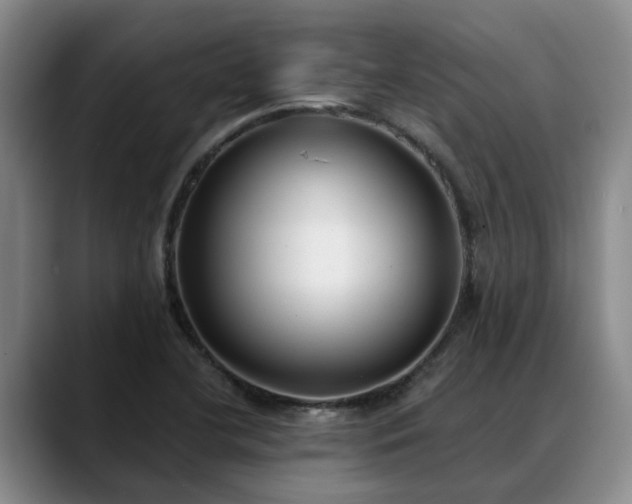 X0000088491412200705291638