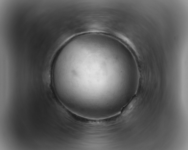 X0000088491415200705291638