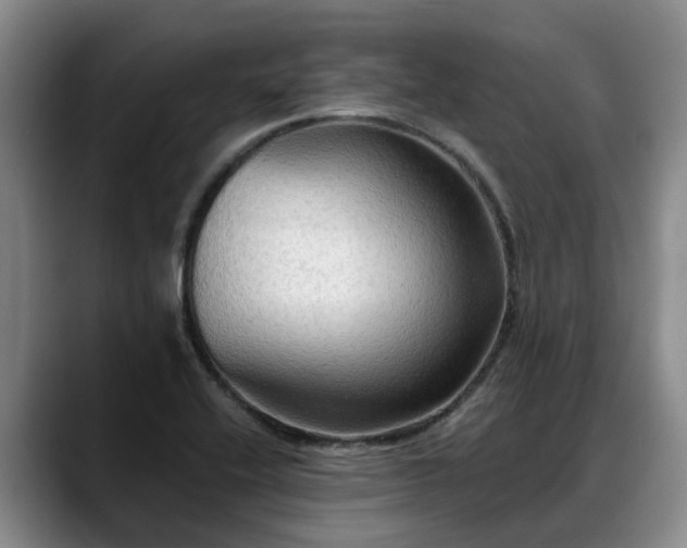 X0000088491416200705291638
