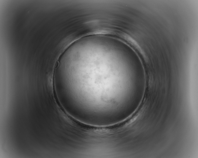 X0000088491417200705291638
