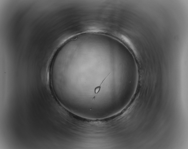 X0000088491419200705291638