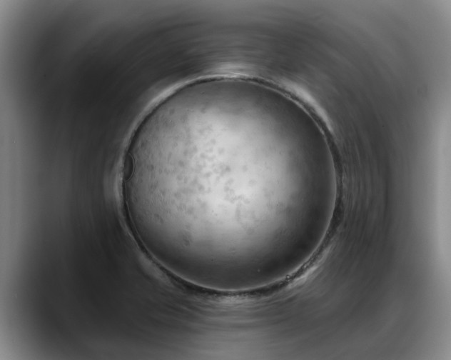 X0000088491421200705291638