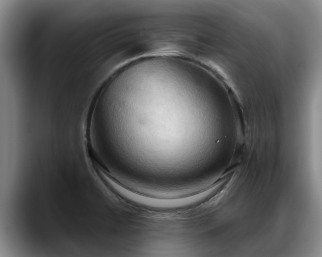 X0000088491422200705291638