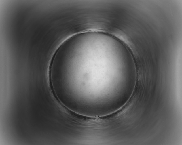 X0000088491423200705291638