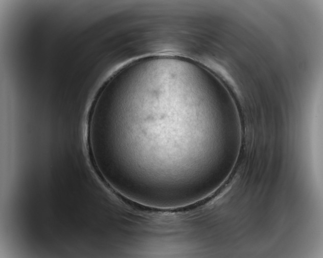 X0000088491424200705291638