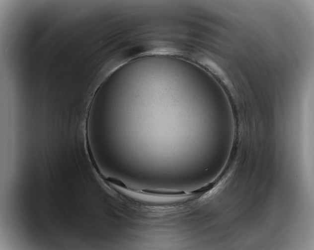 X0000088491425200705291638