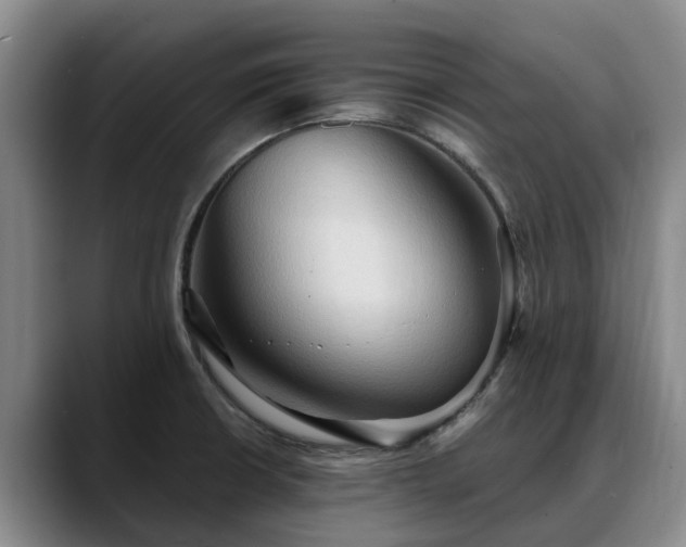 X0000088491426200705291638