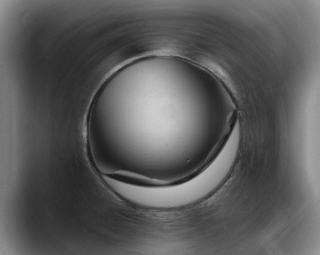 X0000088491428200705291638