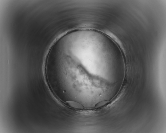 X0000088491429200705291638