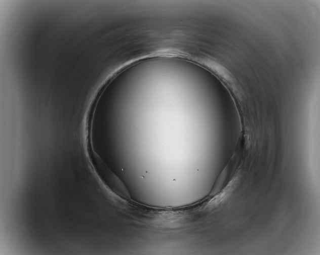X0000088491430200705291638