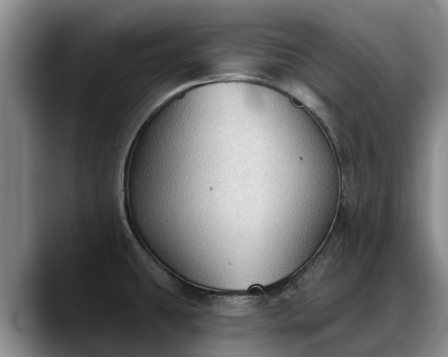 X0000088491431200705291638