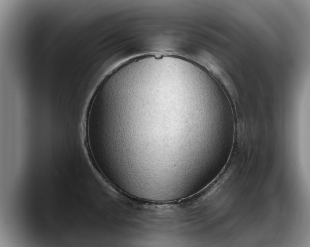 X0000088491432200705291638