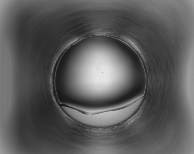 X0000088491434200705291638