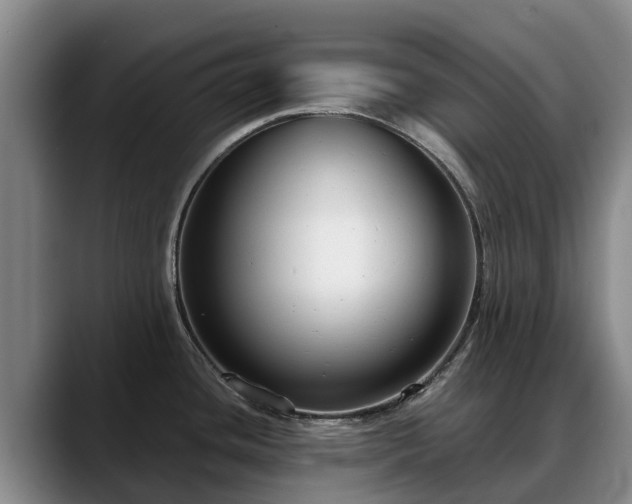 X0000088491436200705291638