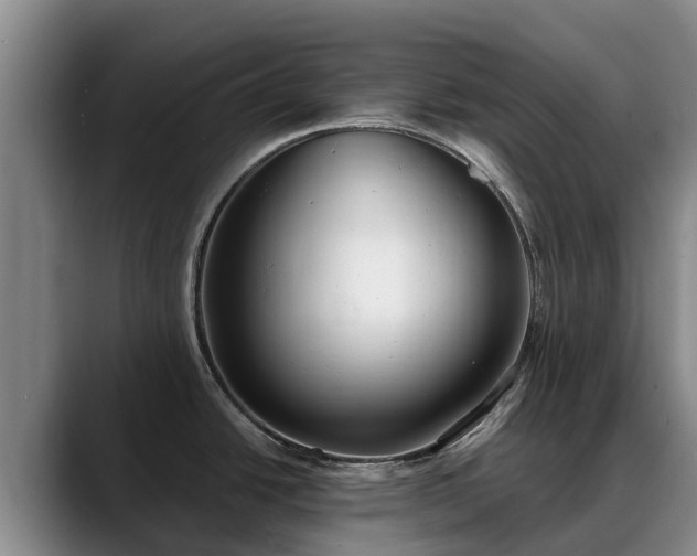 X0000088491438200705291639