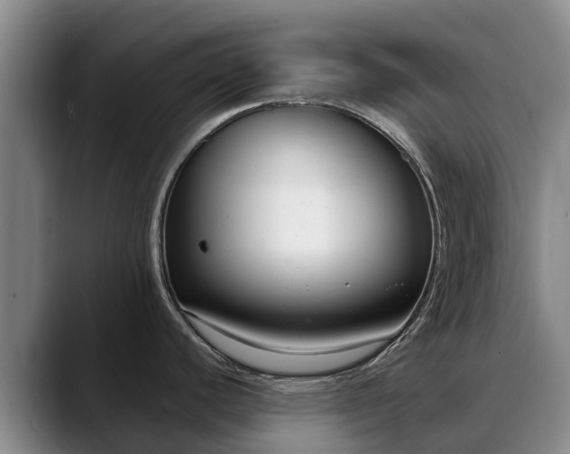 X0000088491440200705291639