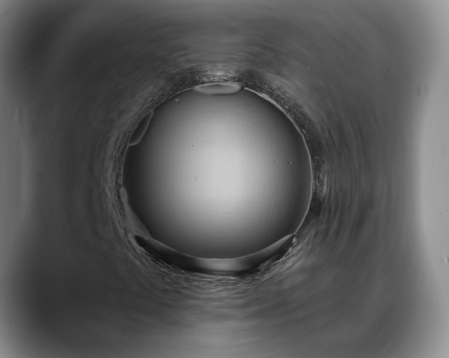 X0000088491441200705291638
