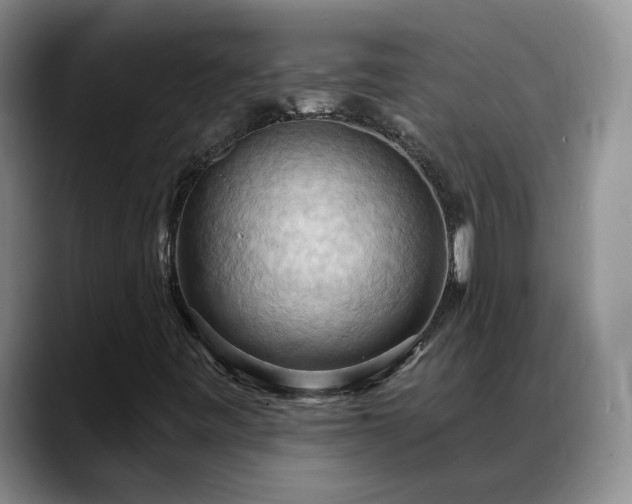 X0000088491443200705291638