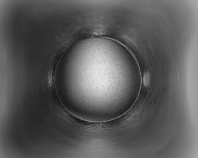X0000088491444200705291638