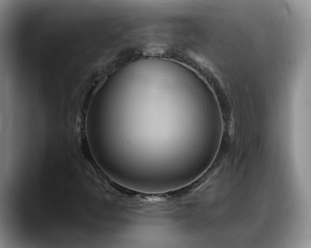 X0000088491445200705291638