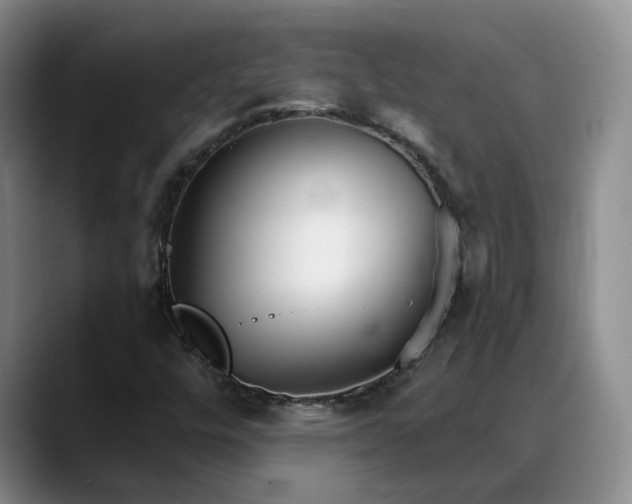 X0000088491448200705291638