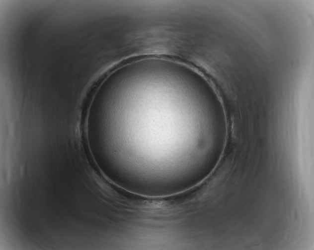 X0000088491452200705291638