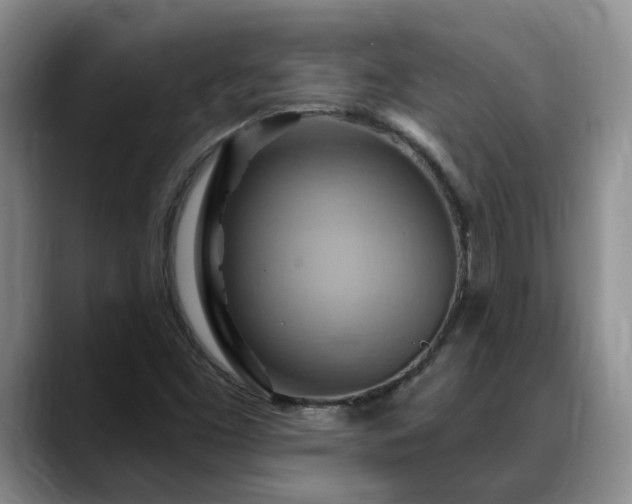 X0000088491453200705291638