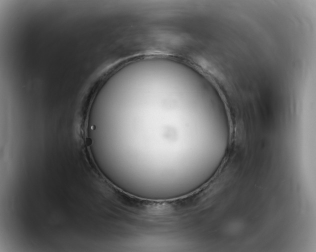 X0000088491454200705291638