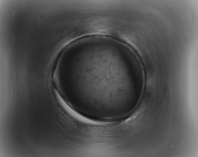 X0000088491455200705291638