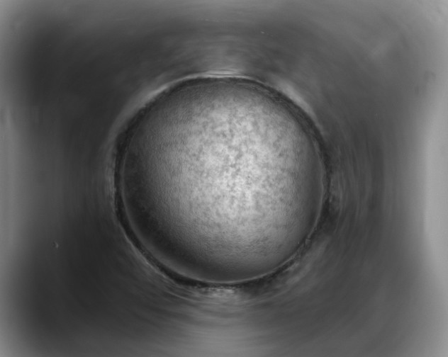 X0000088491456200705291638