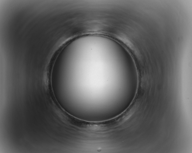 X0000088491458200705291638