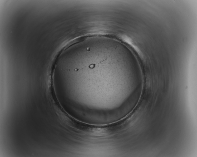 X0000088491459200705291638
