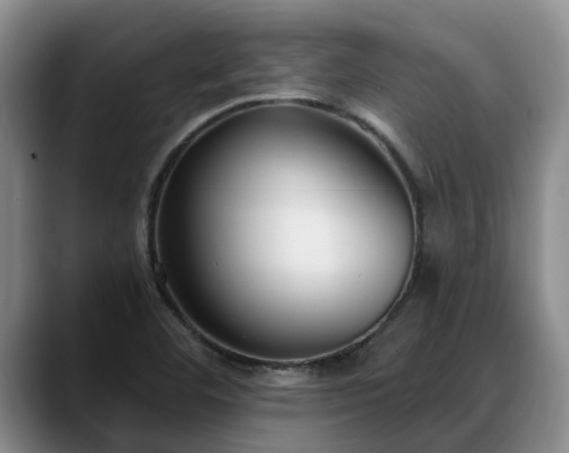 X0000088491460200705291638
