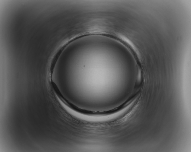 X0000088491461200705291638