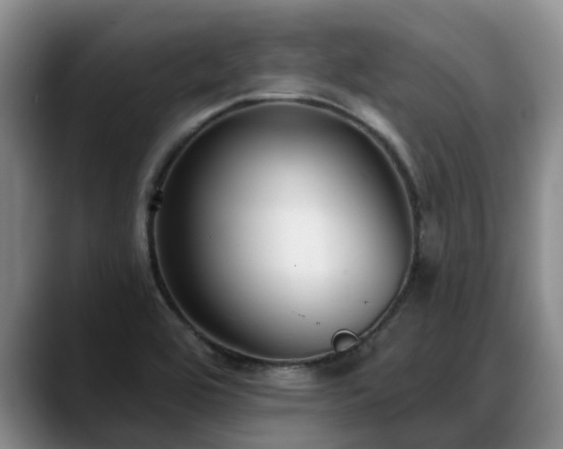 X0000088491464200705291638