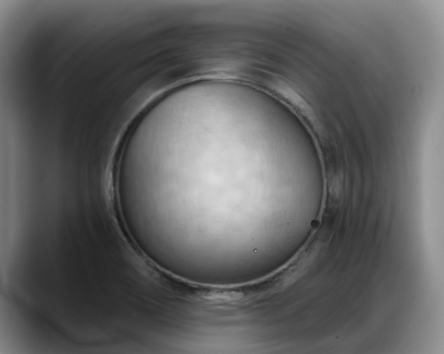 X0000088491466200705291638