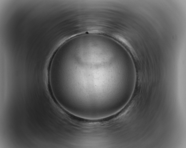 X0000088491467200705291638