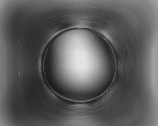 X0000088491468200705291638