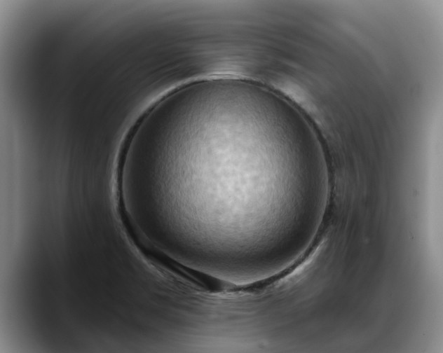 X0000088491469200705291638